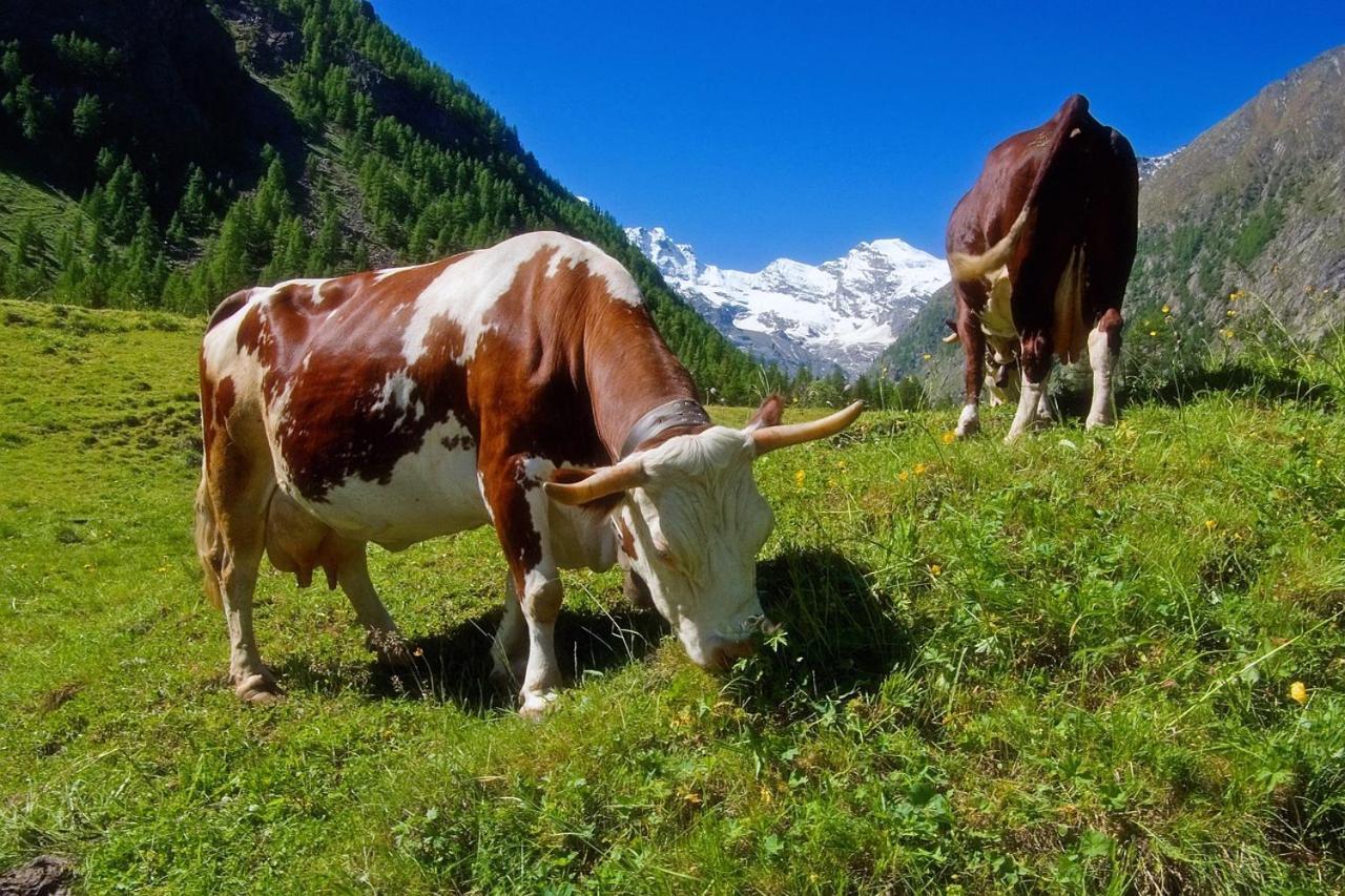 La Dzenta Meizon Villeneuve Dış mekan fotoğraf